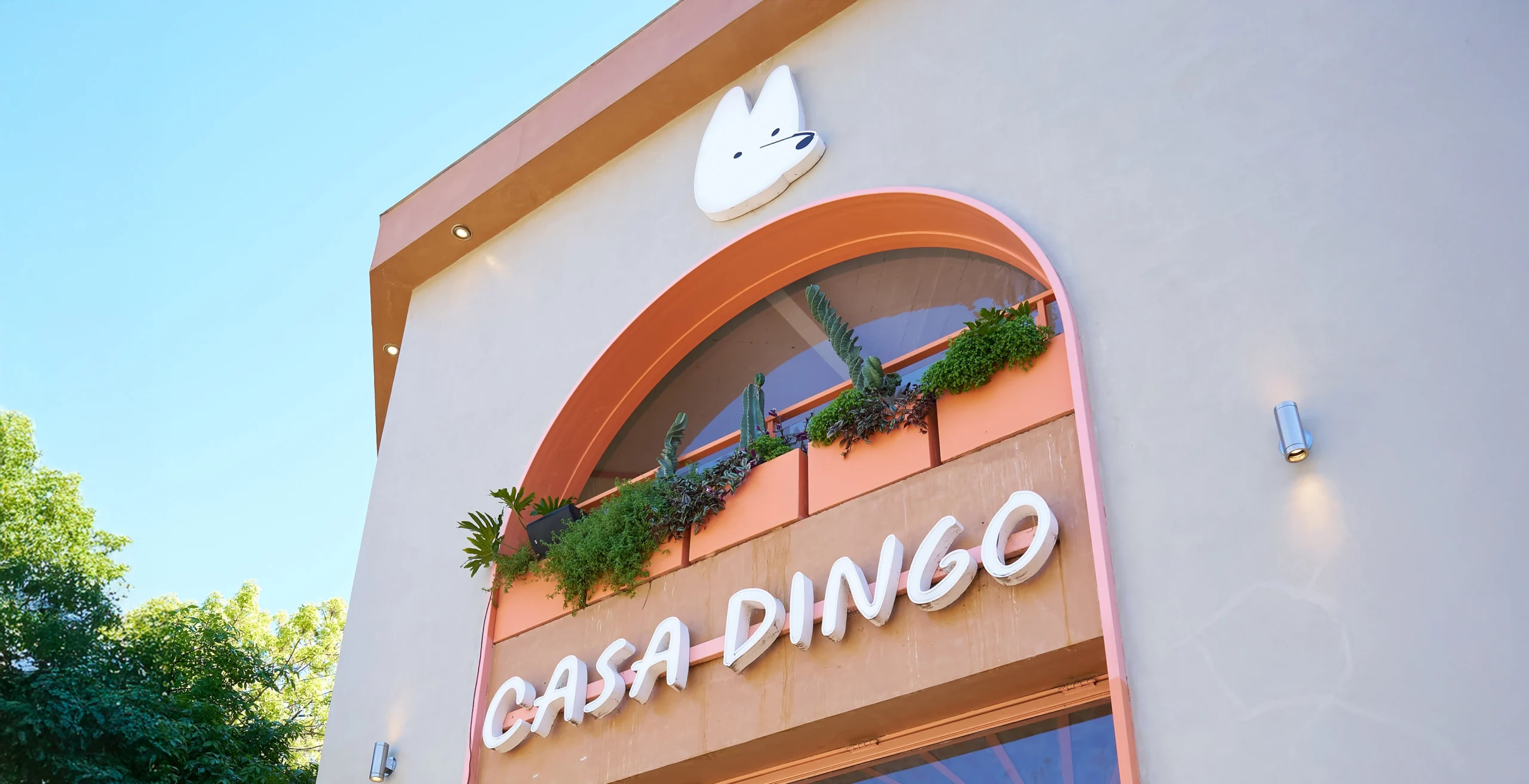 casa-dingo-portada-3